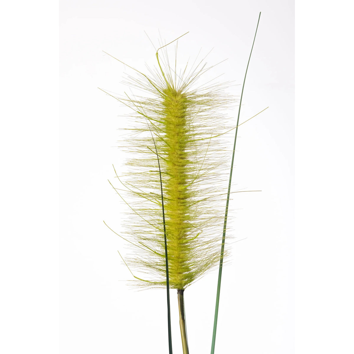 Rama de Pennisetum artificial de 120 cm, color verde