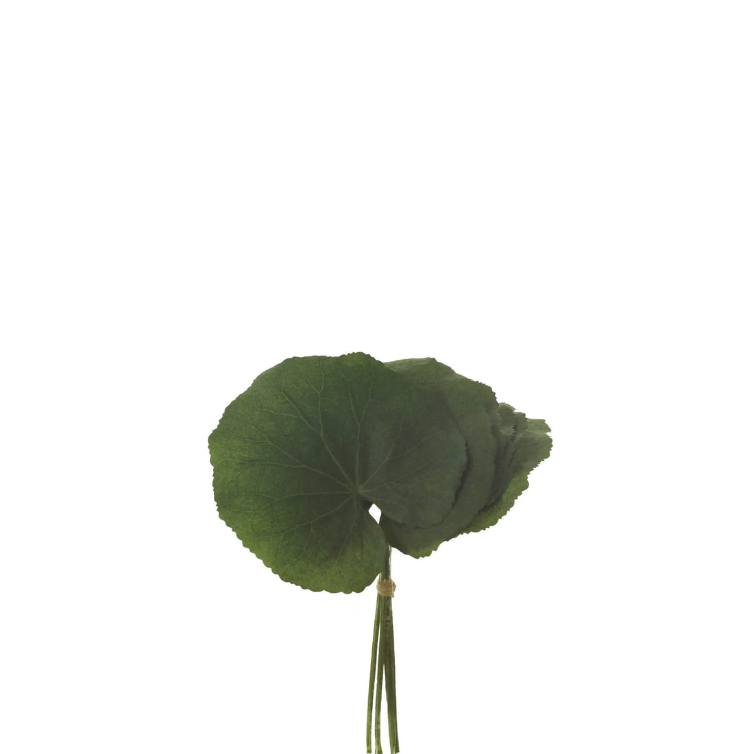 Ramo artificial de Hojas de Galax de 22 cm, color verde