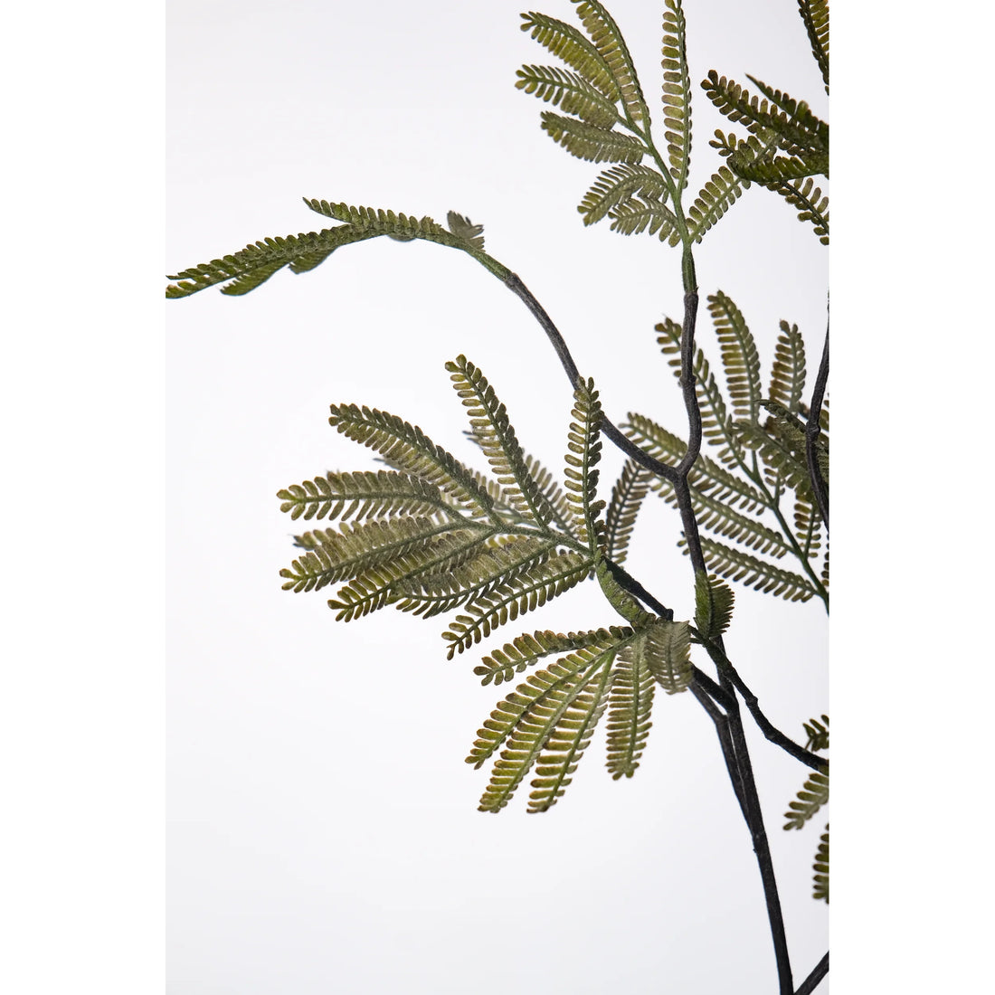 Ramo artificial de Hojas de Mimosa de 65 cm, color verde