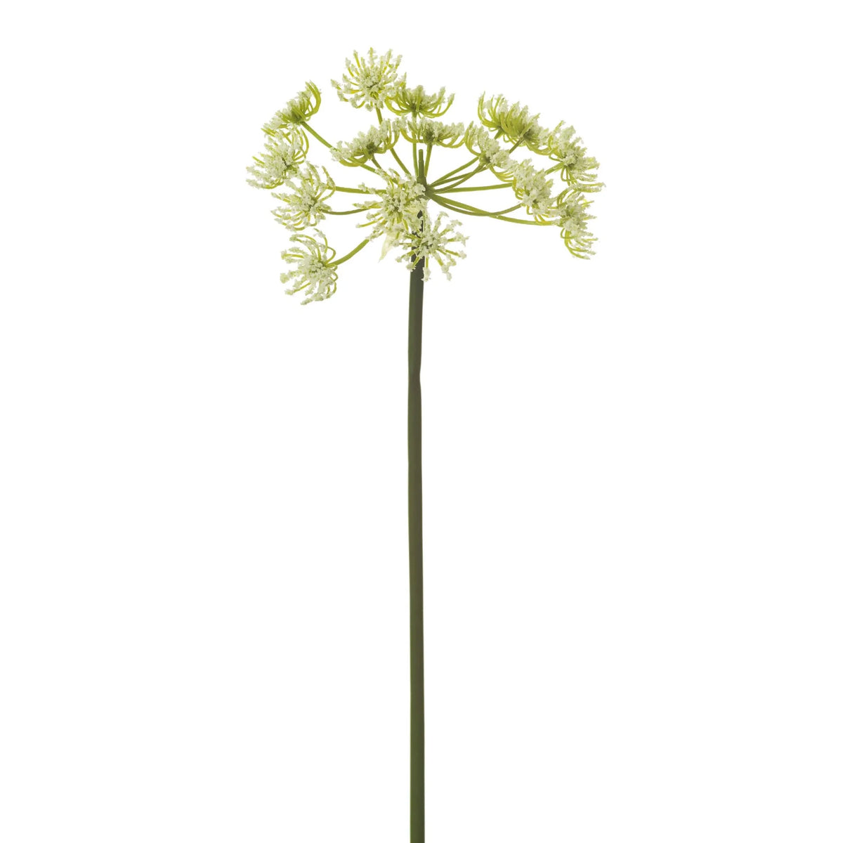 Relleno de Zanahoria Silvestre artificial de 64 cm, color blanco