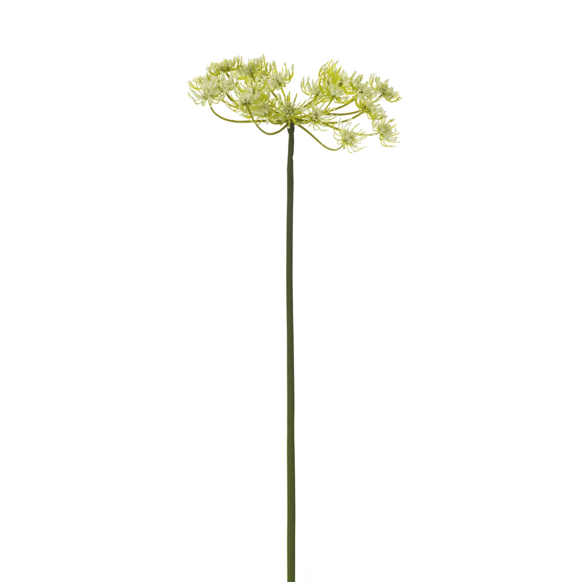 Relleno de Zanahoria Silvestre artificial de 74 cm, color blanco