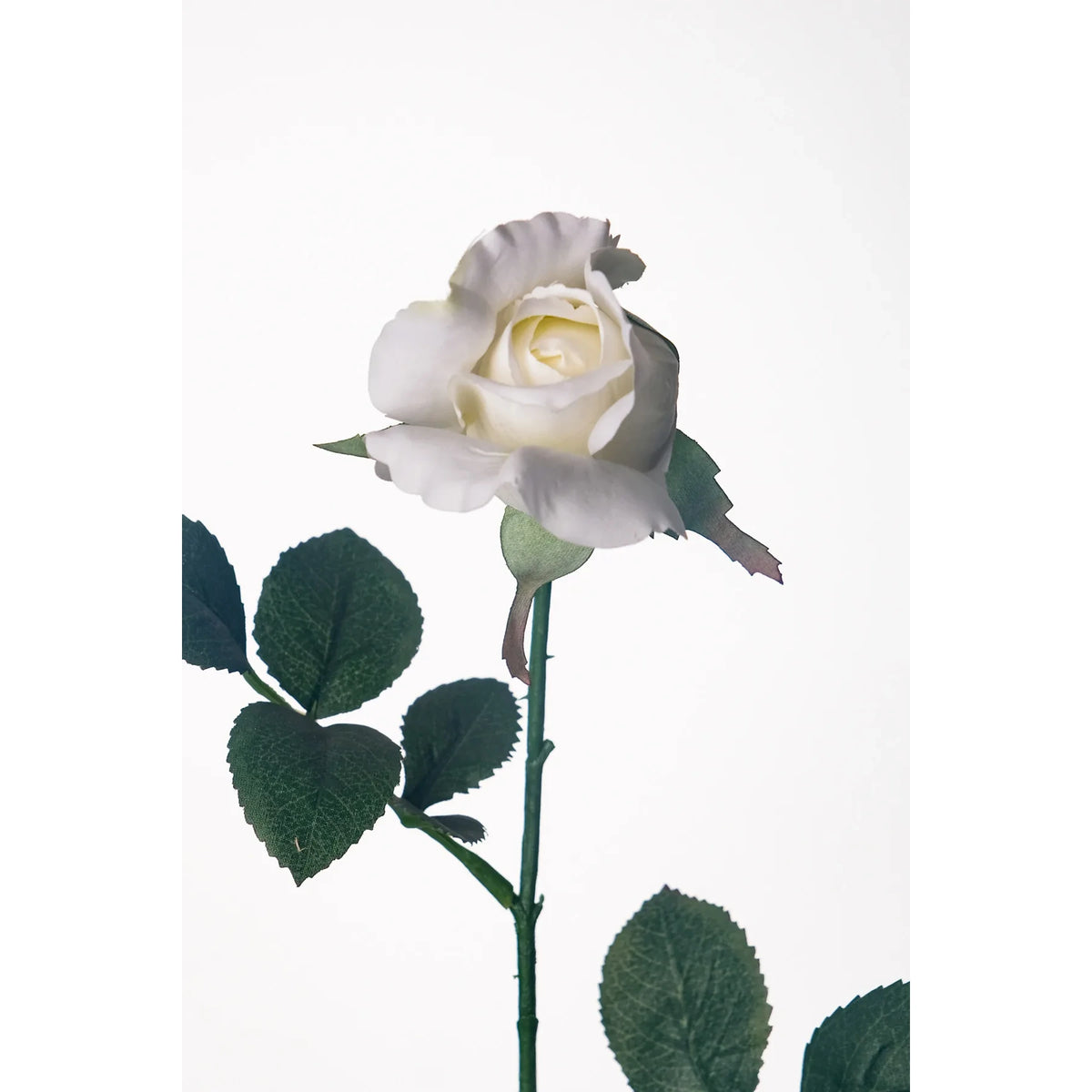 Rosa artificial en Capullo de 67 cm, color blanco