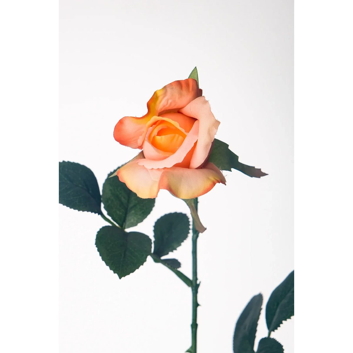 Rosa artificial en Capullo de 67 cm, color melocotón
