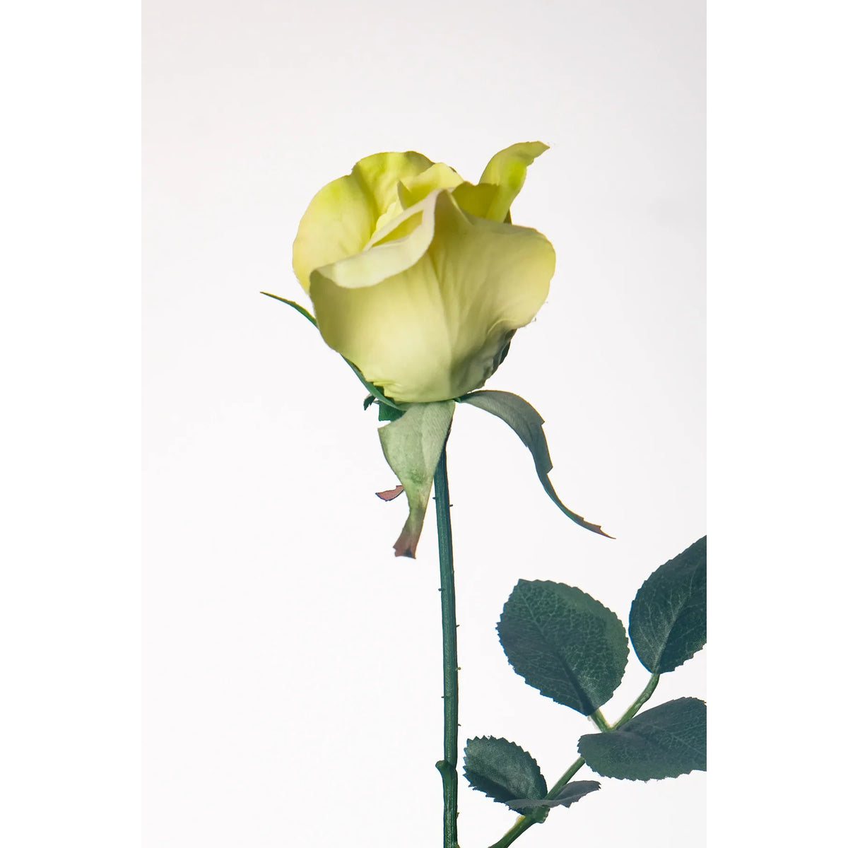 Rosa artificial en Capullo de 67 cm, color verde