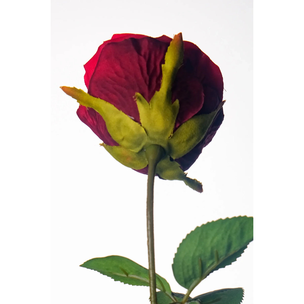 Rosa artificial Mediana de 69 cm, color rojo fuerte