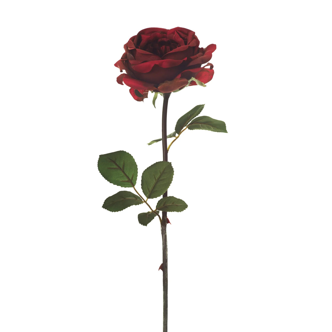Rosa Inglesa artificial de 45 cm, color rojo