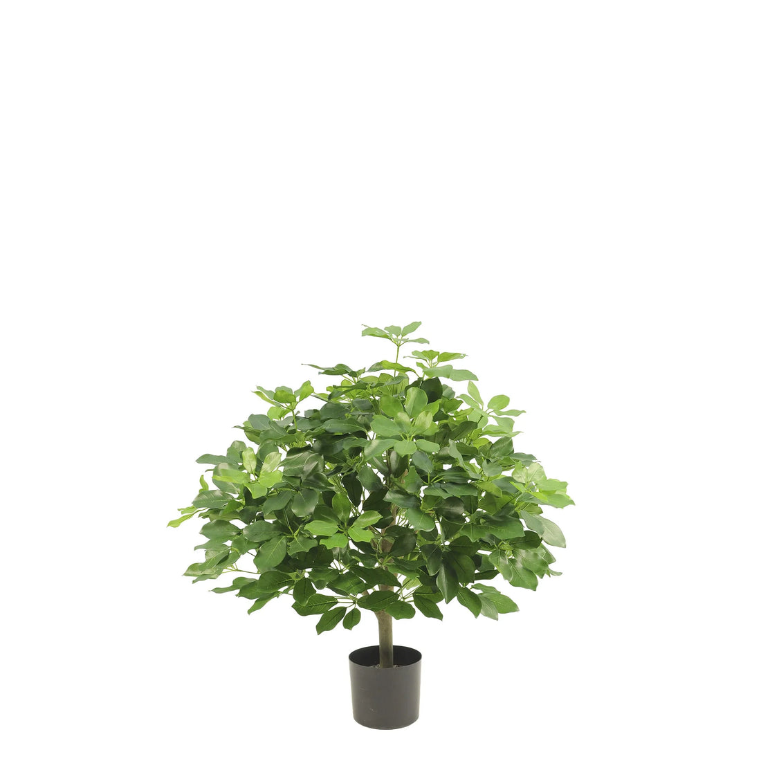 Schefflera artificial de 90 cm, color verde