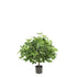 Schefflera artificial de 90 cm, color verde