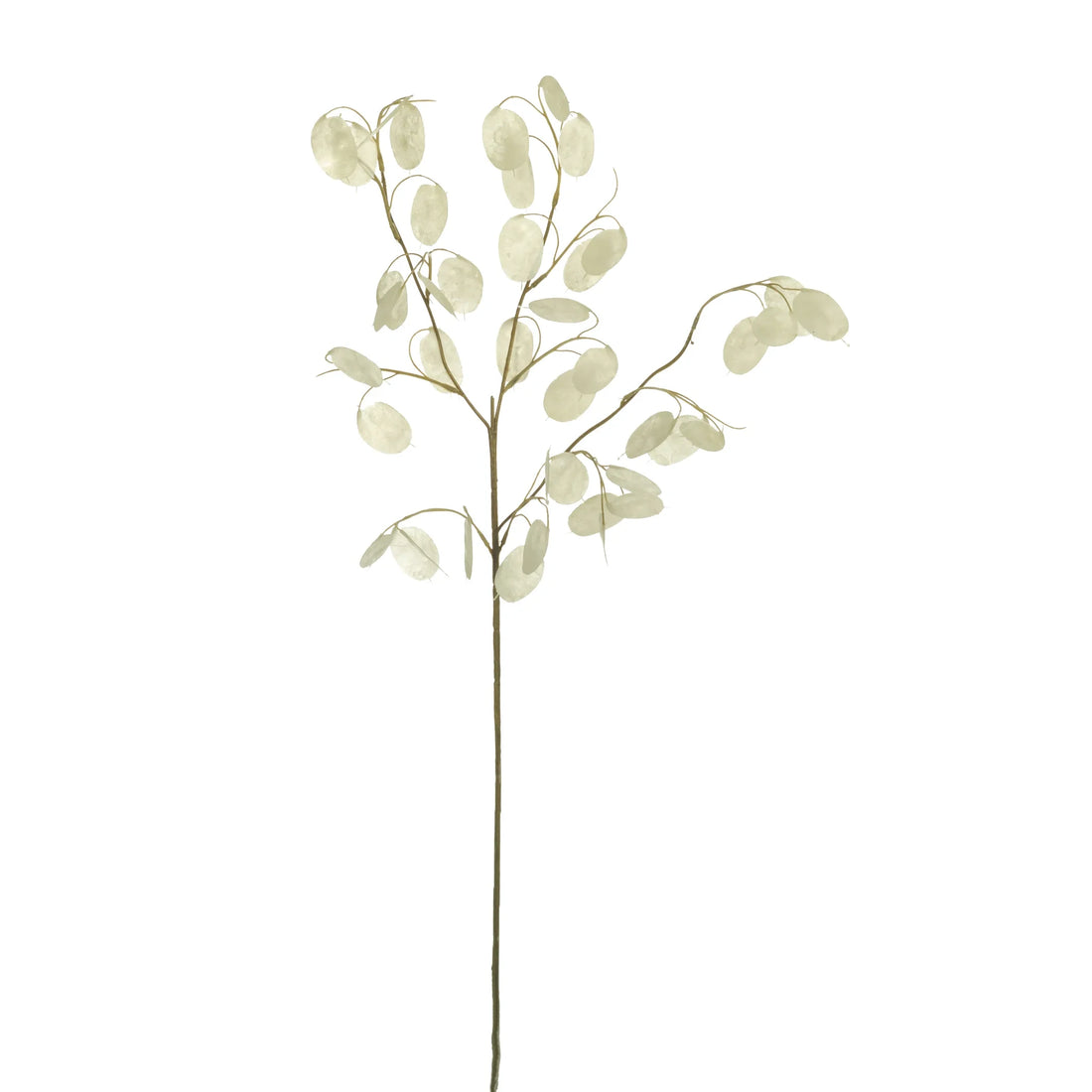 Silver Dollar artificial de 75 cm, color blanco