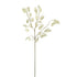 Silver Dollar artificial de 75 cm, color blanco