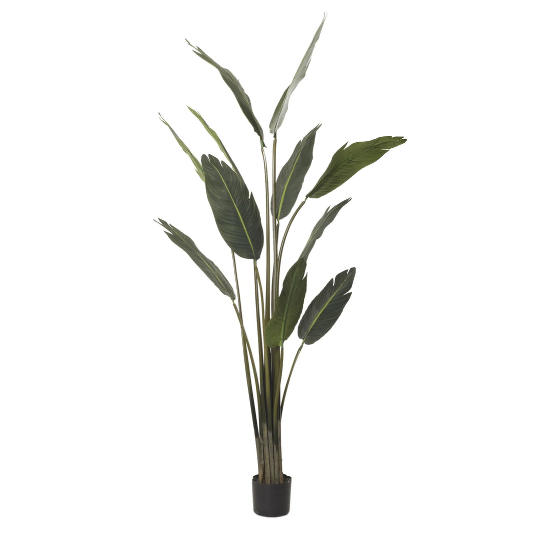 Strelitzia artificial de 190 cm, color verde
