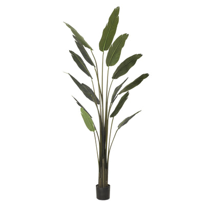 Strelitzia artificial de 225 cm, color verde