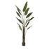 Strelitzia artificial de 225 cm, color verde