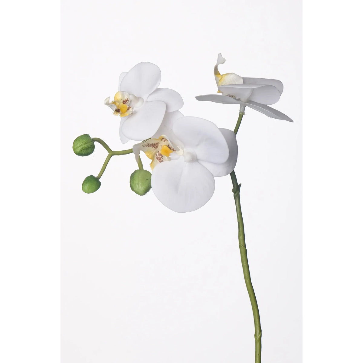 Tallo de Orquídea artificial de 35 cm, color blanco