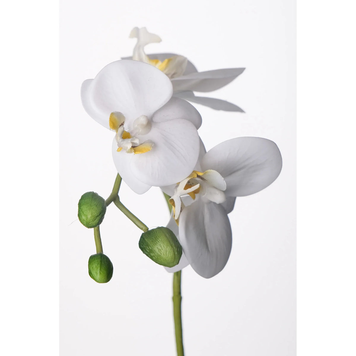 Tallo de Orquídea artificial de 35 cm, color blanco