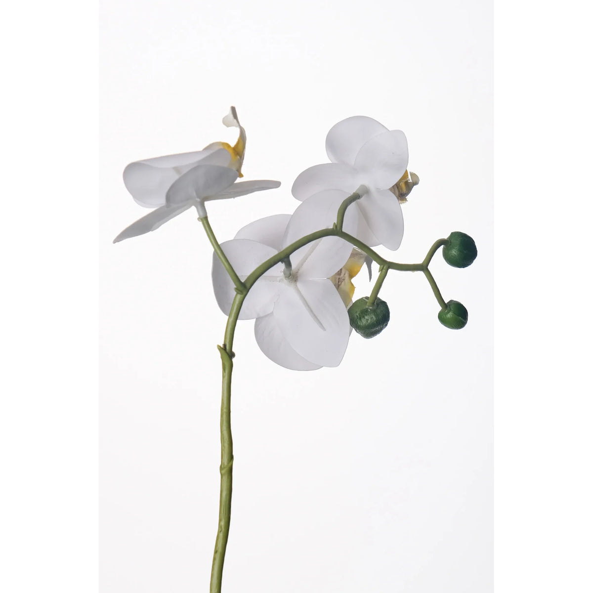Tallo de Orquídea artificial de 35 cm, color blanco