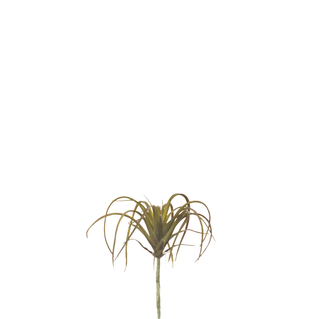 Tillandsia artificial de 11 cm, color único