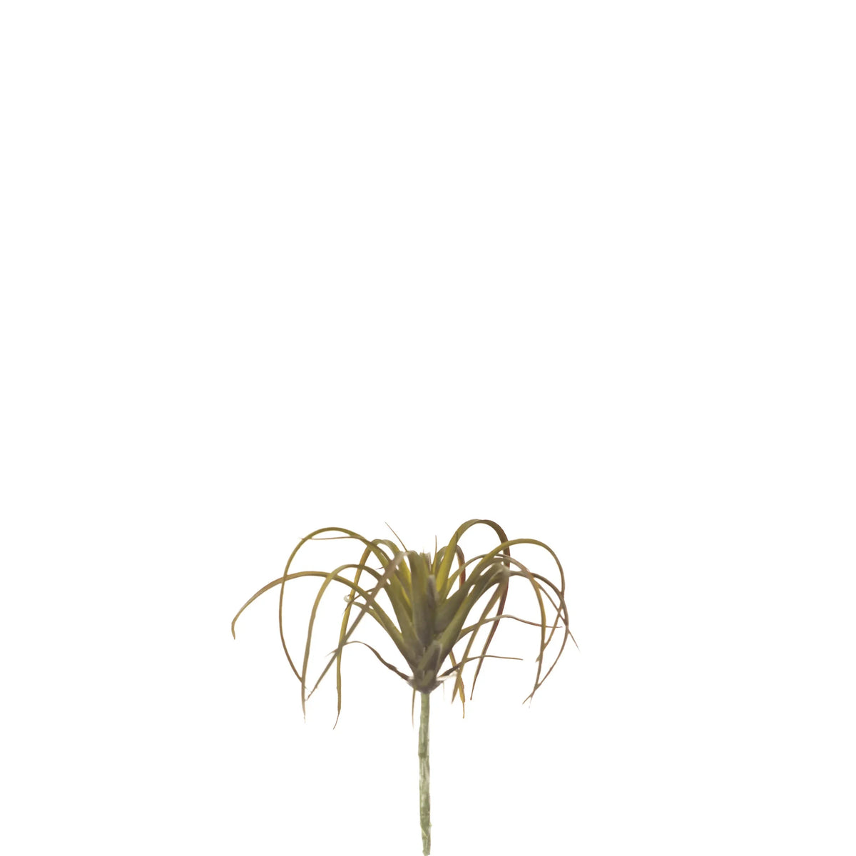 Tillandsia artificial de 11 cm, color único
