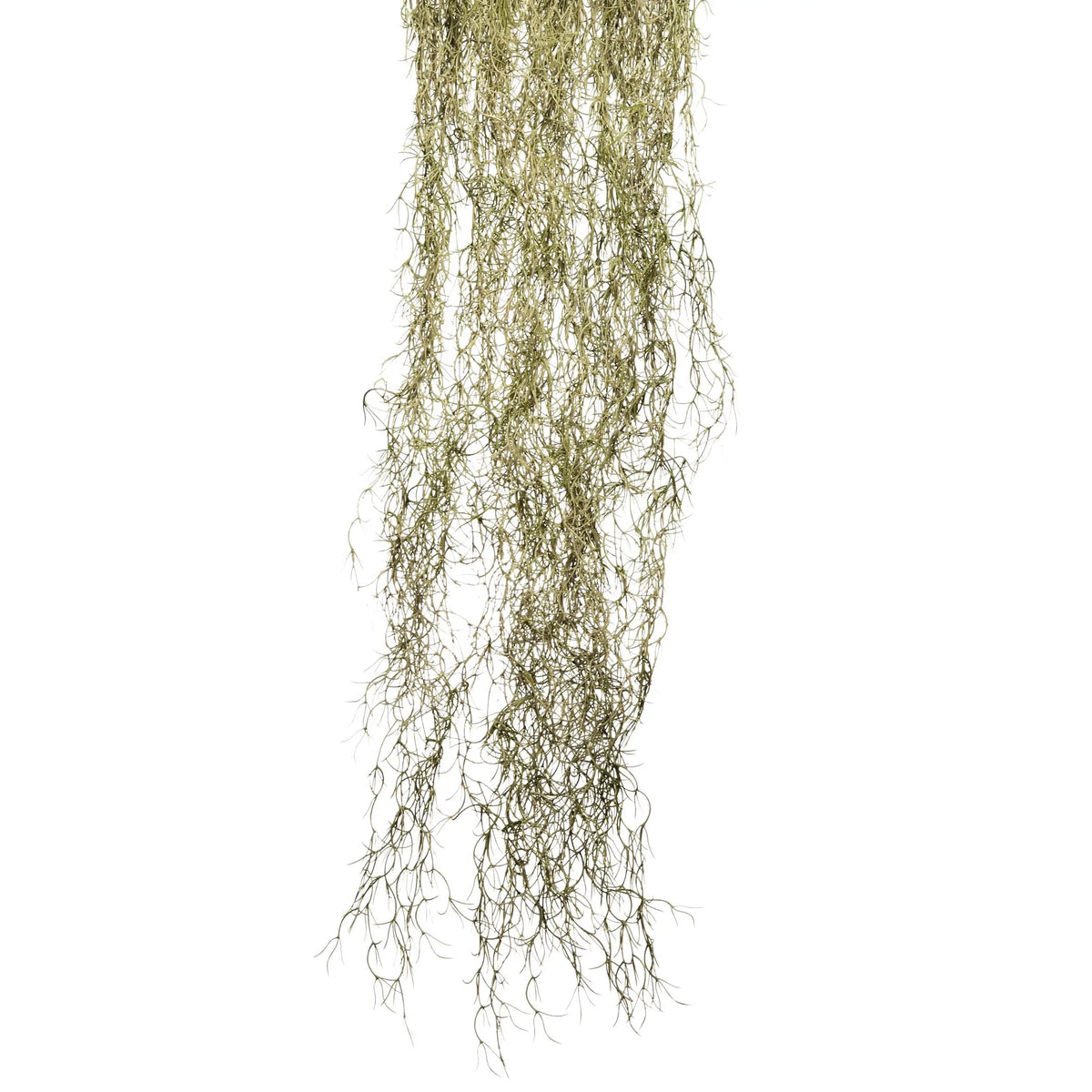Tillandsia artificial Colgante Grande de 200 cm, color verde