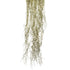 Tillandsia artificial Colgante Grande de 200 cm, color verde