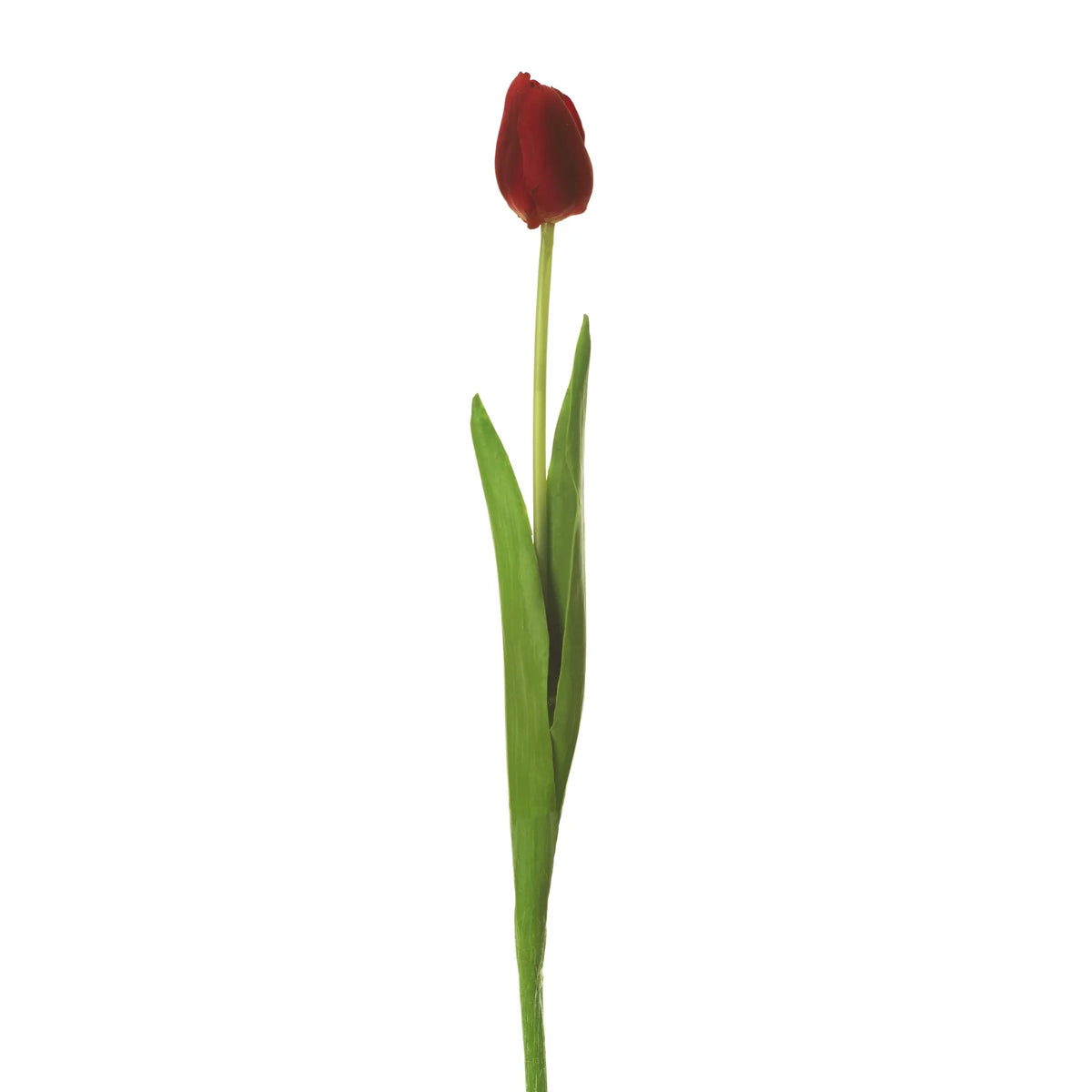Tulipán artificial de 43 cm, color rojo