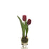 Tulipán artificial en Cristal con Agua Sólida de 31 cm, color rojo