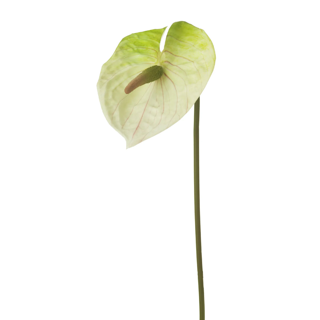 Vara de Anturio artificial de 61 cm, color rosa