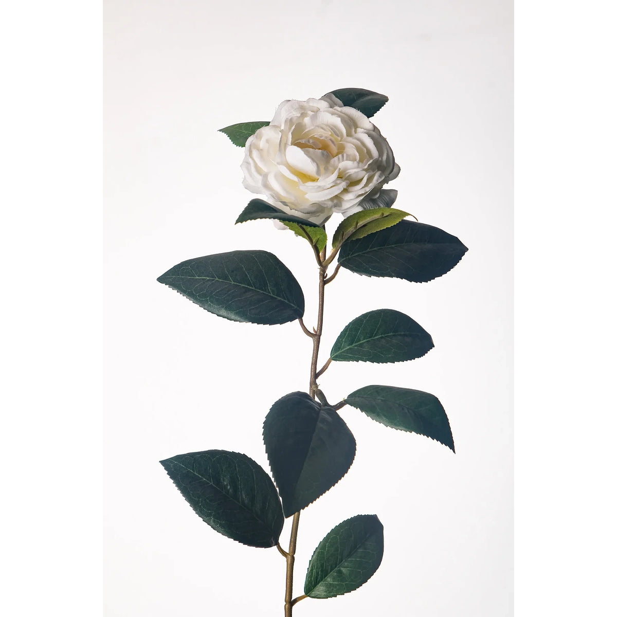 Vara de Camelia artificial de 67 cm, color blanco