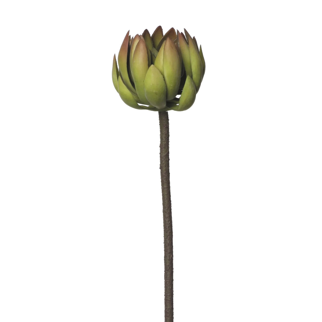 Vara de Echeveria artificial de 72 cm, color verde