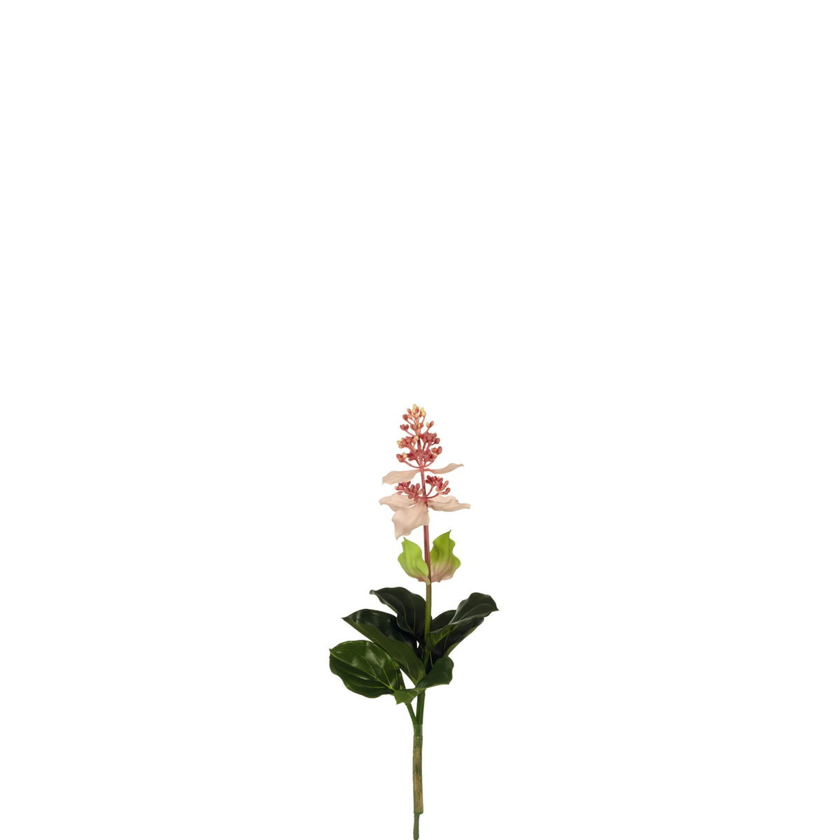 Vara de Medinilla artificial de 64 cm, color rosa