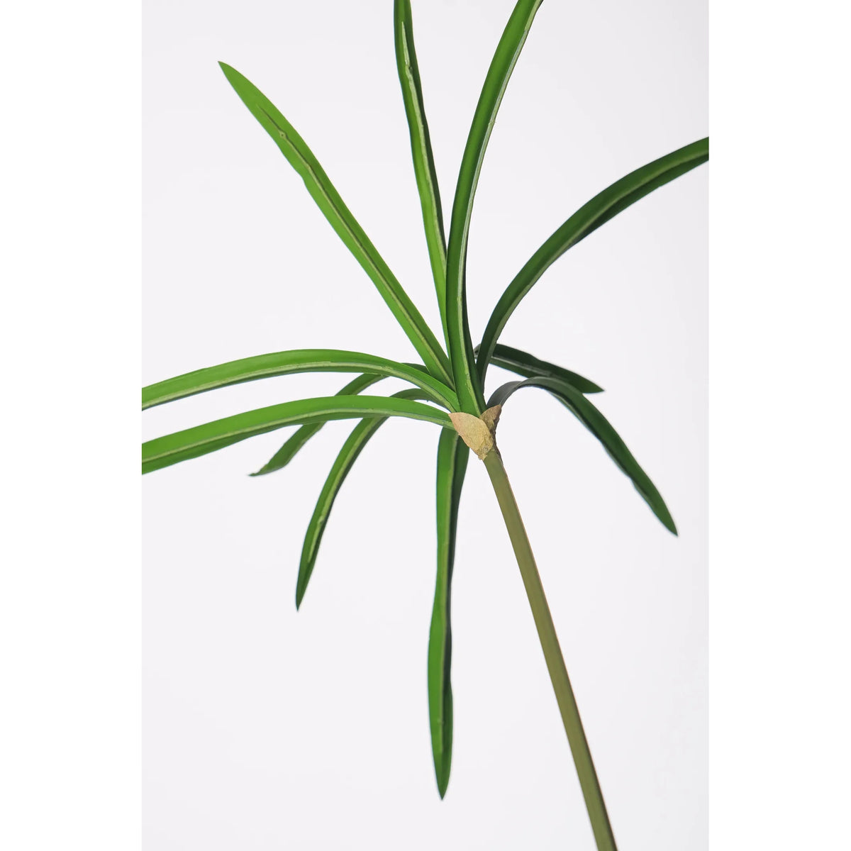 Vara de Papiro artificial de 144 cm, color verde