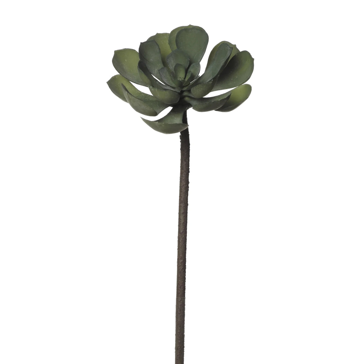 Vara de Peperomia artificial de 54 cm, color verde