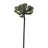 Vara de Peperomia artificial de 54 cm, color verde