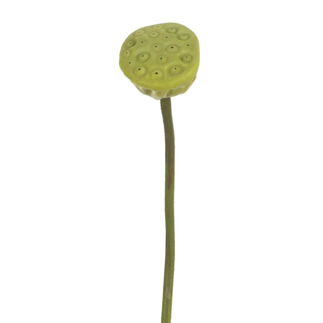 Vara de Semilla de Loto artificial de 54 cm, color verde