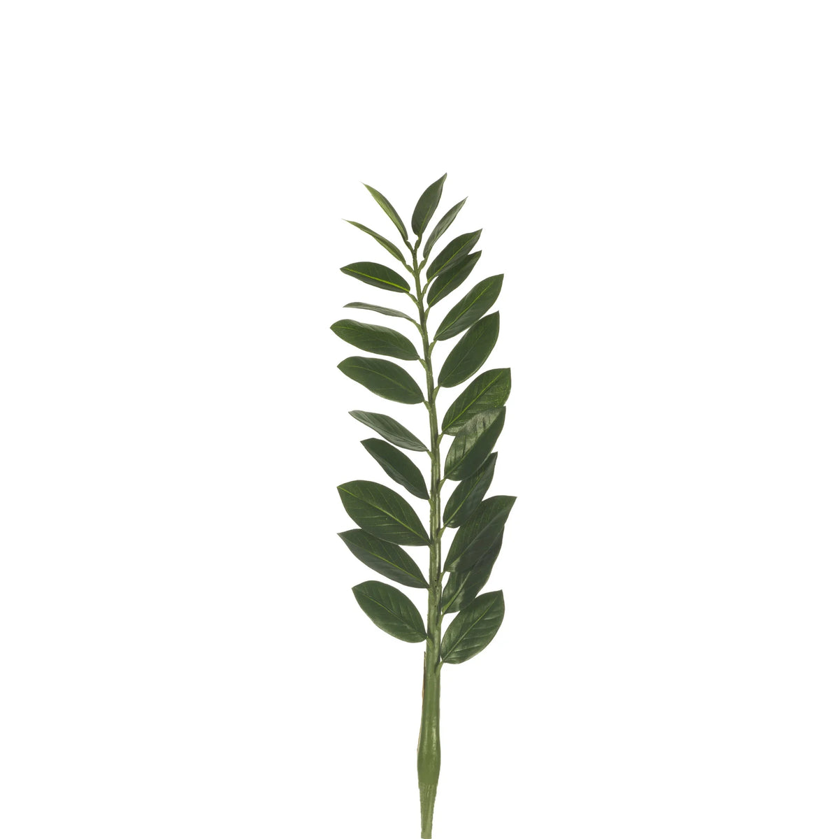 Zamioculca artificial de 72 cm, color verde