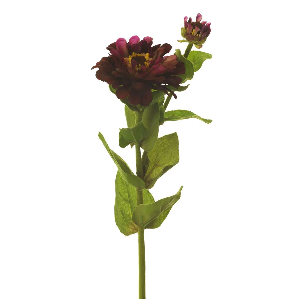 Zinnia artificial de 69 cm, color burdeos