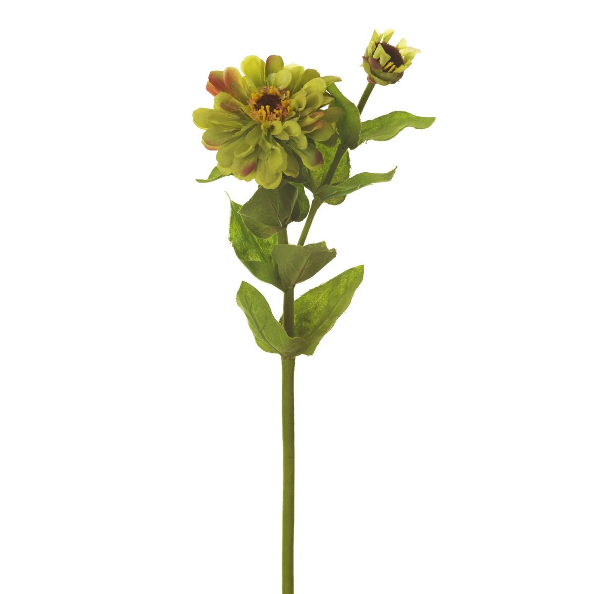 Zinnia artificial de 69 cm, color verde