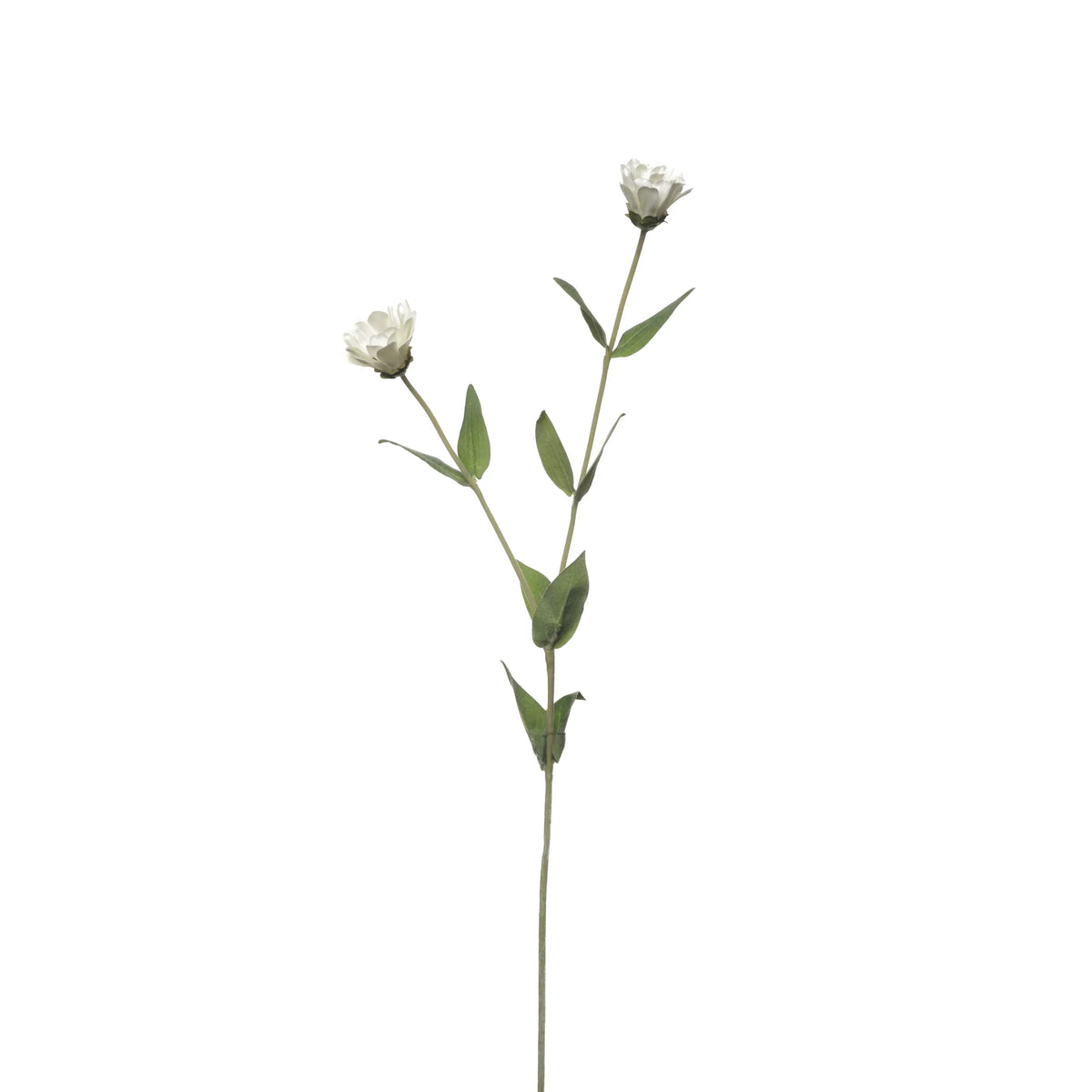 Zinnia artificial Mini de 55 cm, color blanco